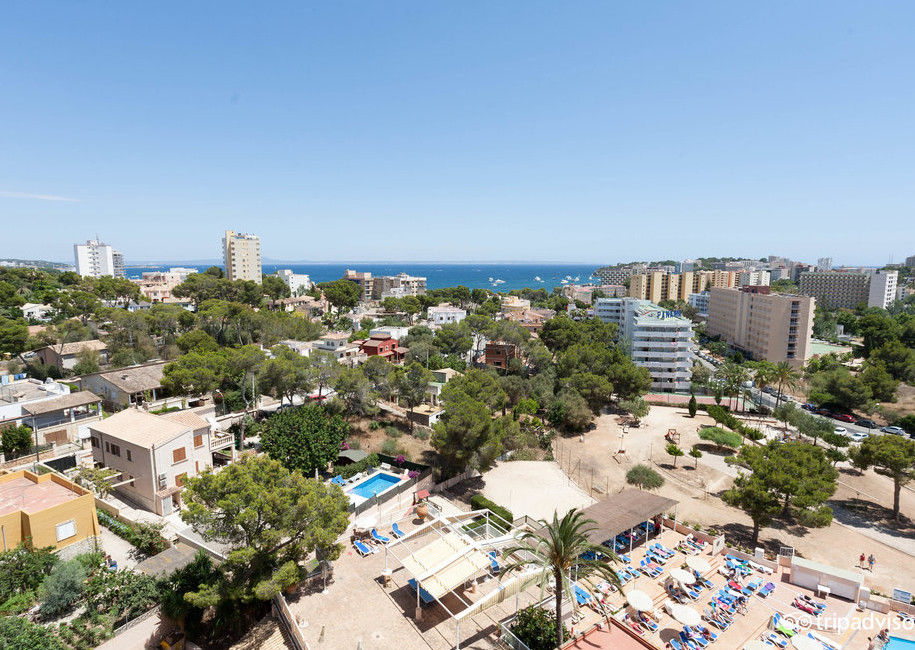 Globales Mimosa Hotel Palma Nova  Exterior photo